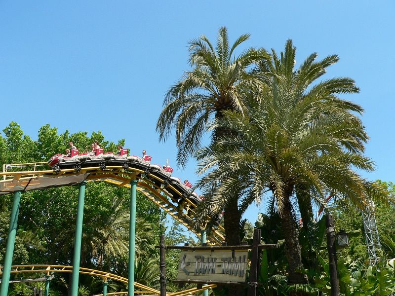 009994.jpg