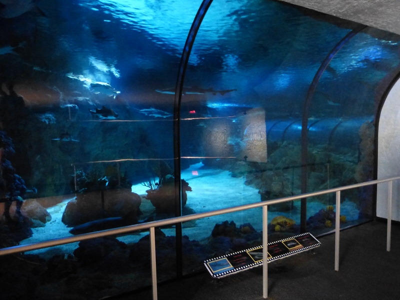 009P1080357.JPG