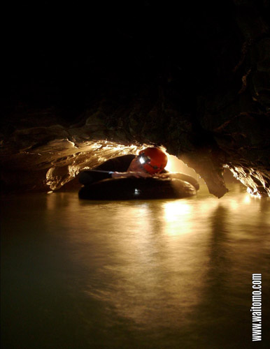 00f Glow Worm Caves.jpg