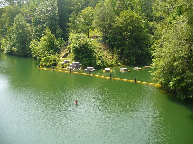 comment ulysse rencontre nausicaa