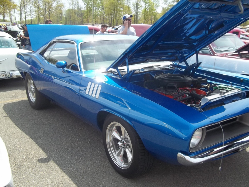 039 (800x600).jpg