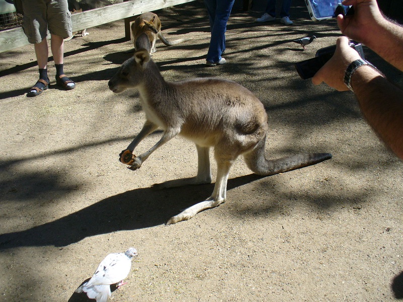 06.jpg
