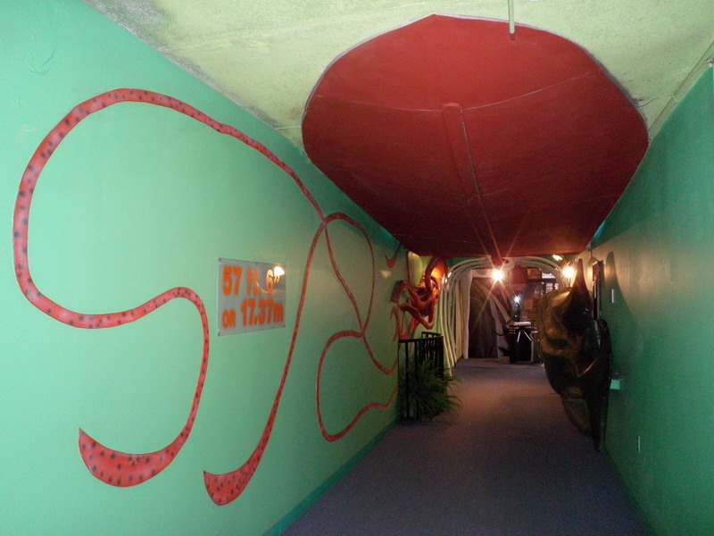 07P7209904.JPG