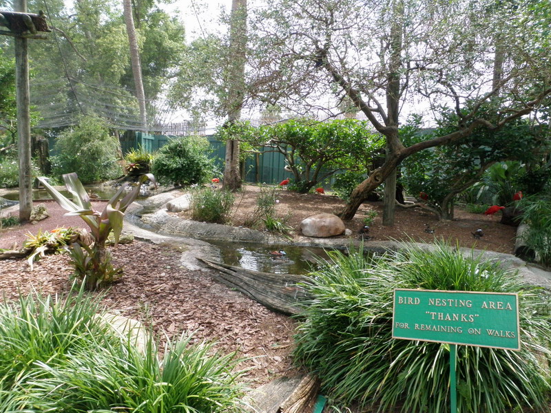 086P7067741.JPG