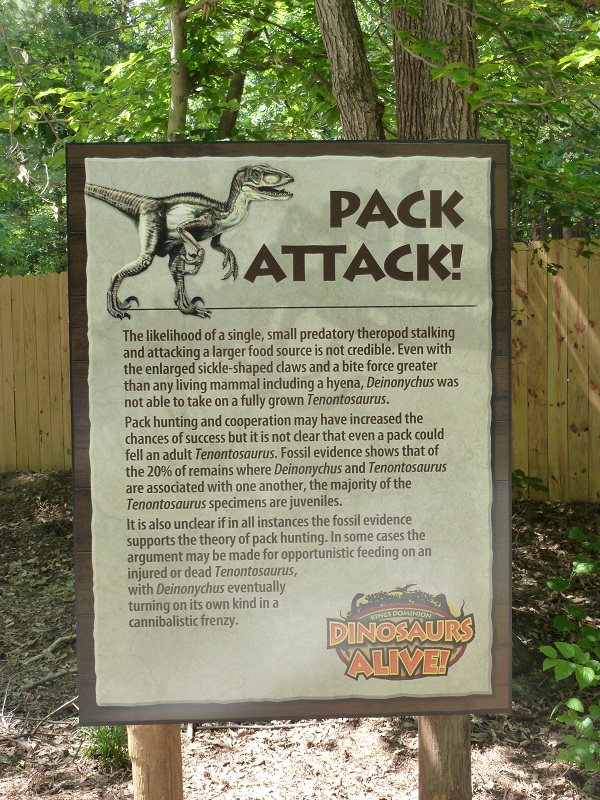 08.jpg