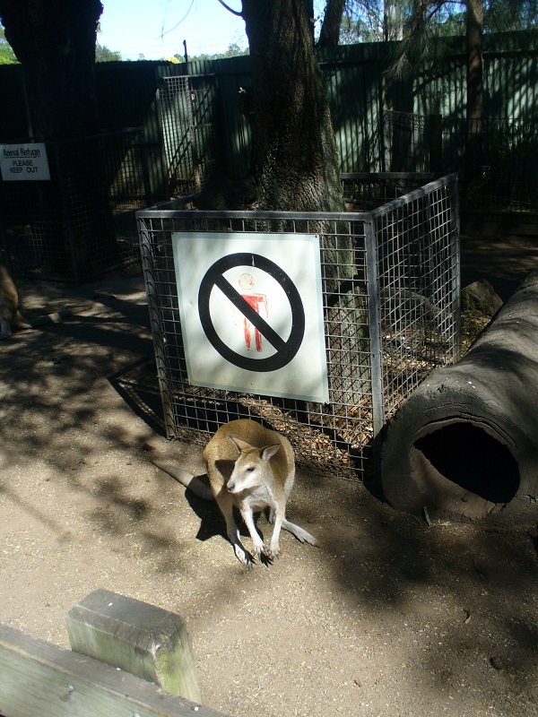 09.jpg