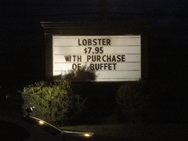 102.JPG