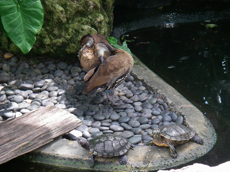 105IMGP5534.JPG