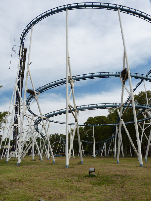 116.jpg