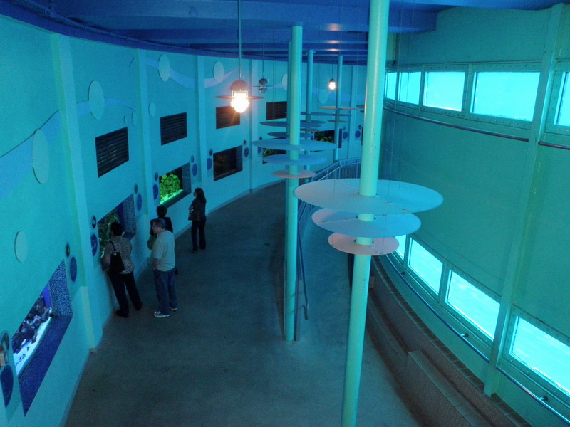 16P2185586.JPG