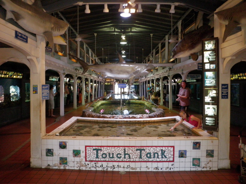 16P4229817.JPG