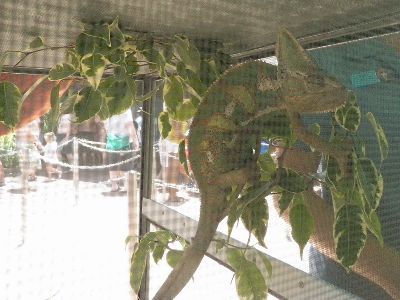 18P6246576.jpg