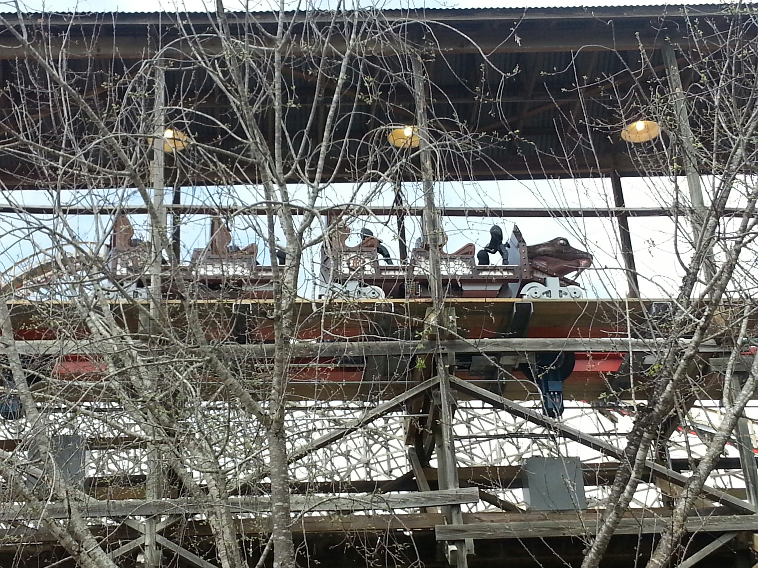 20130317_122506_resized.jpg