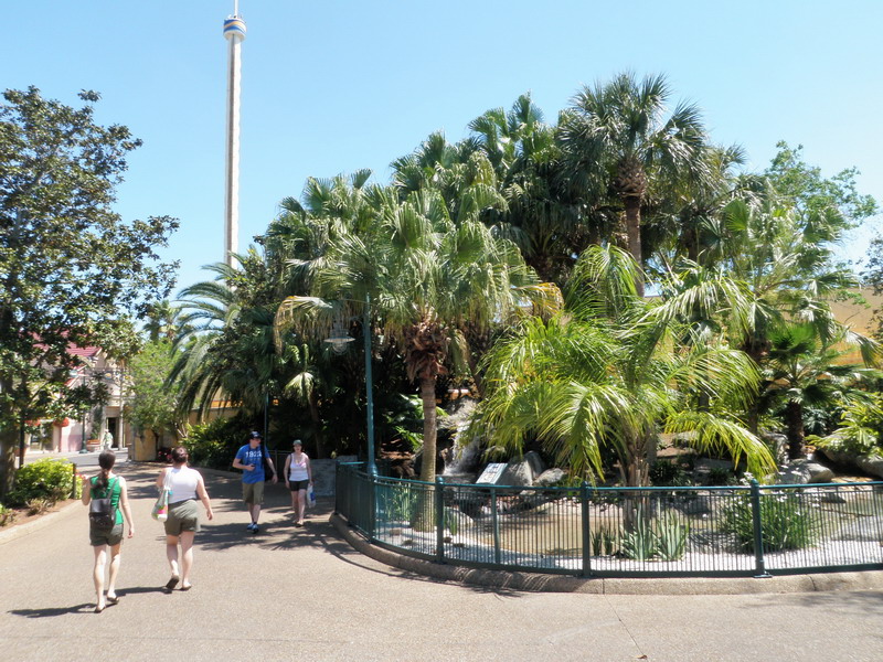 20P4272390.JPG