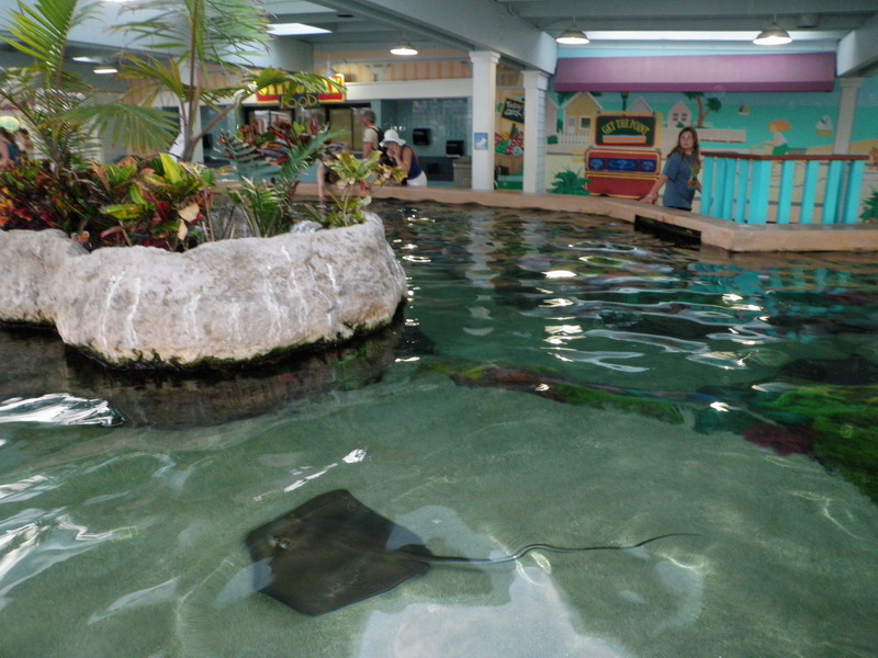215P3122357.JPG