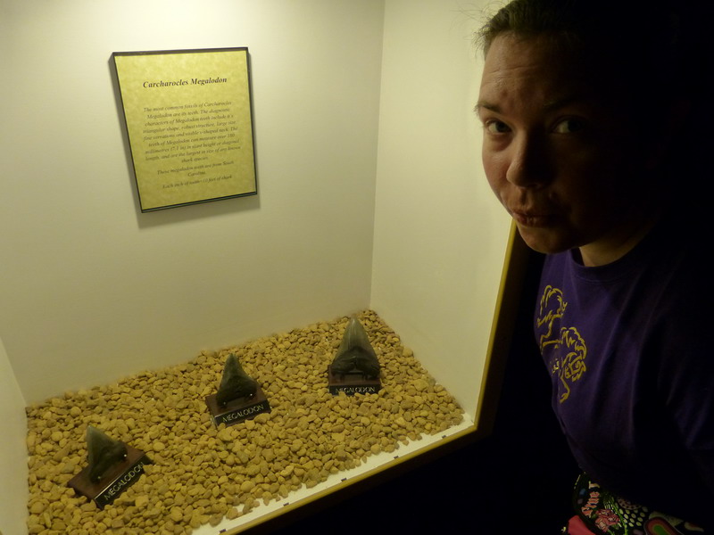 21P1040140.JPG