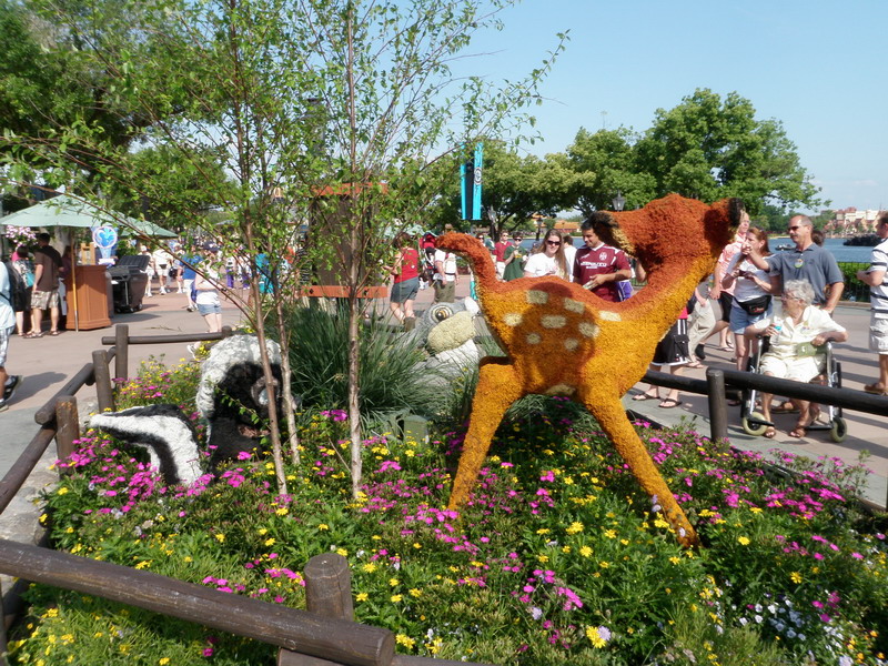21P4241939.JPG