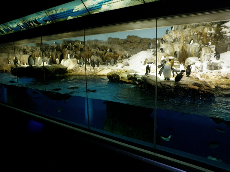 221P3122286.JPG