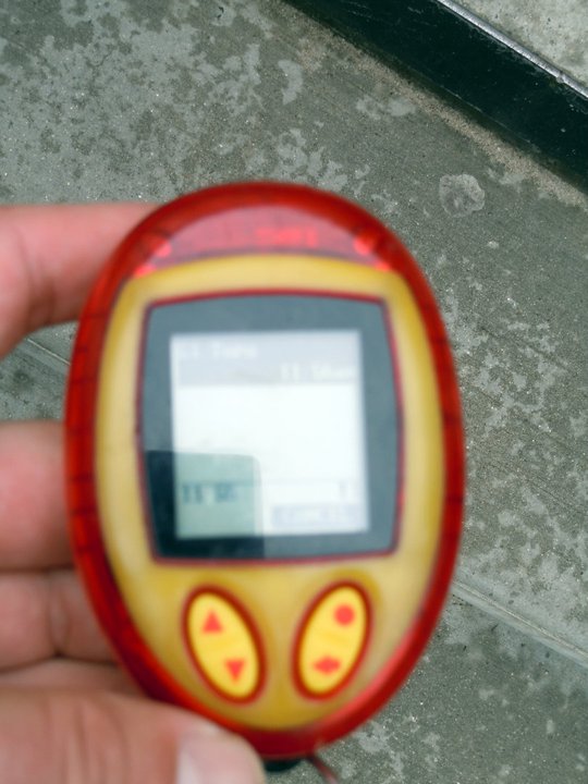 230978_522837603194_110300559_30432649_6266143_n.jpg