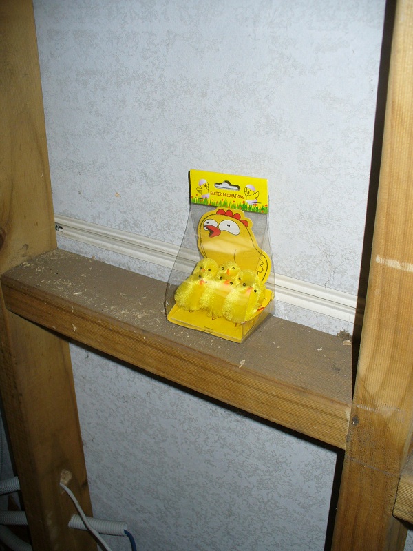 25.jpg