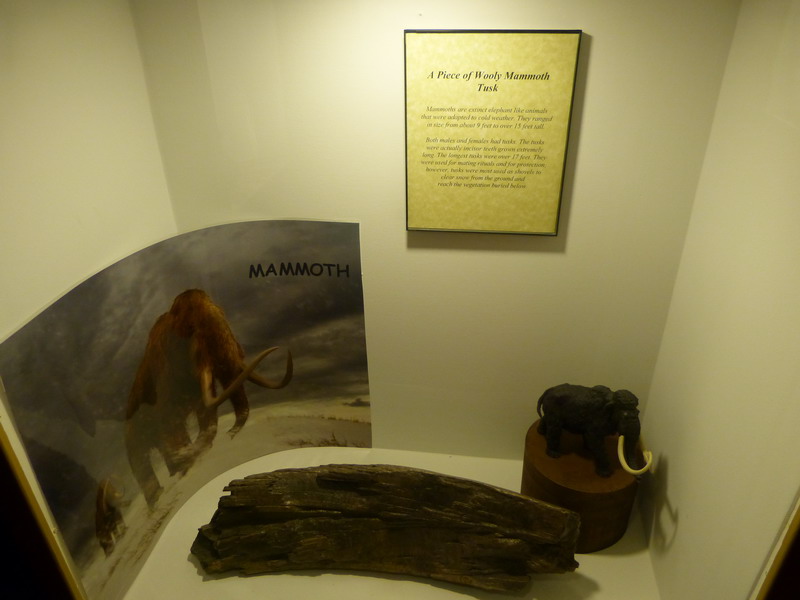 27P1040130.JPG