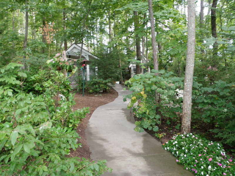 27P5145286.JPG