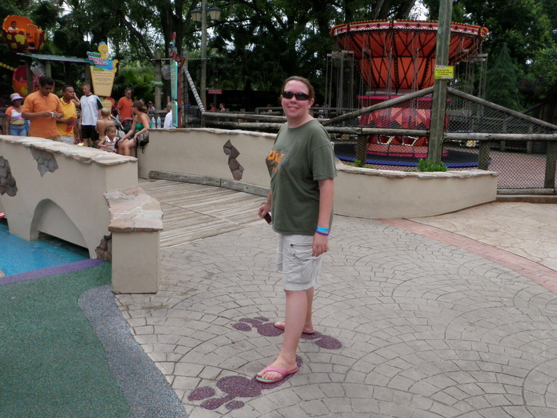 294P7067785.jpg