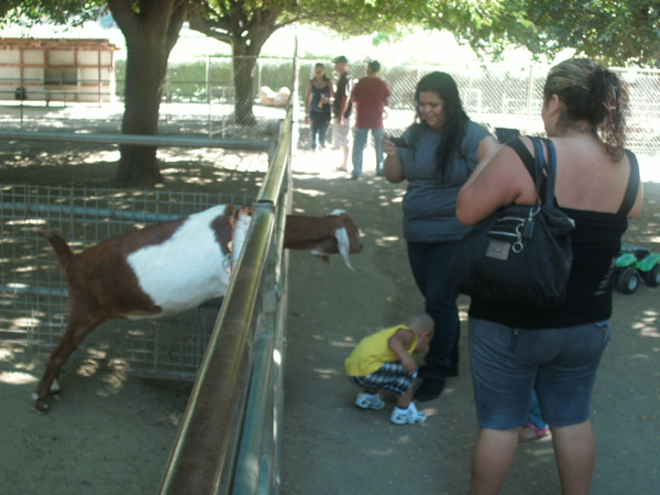 34 Petting Zoo.JPG