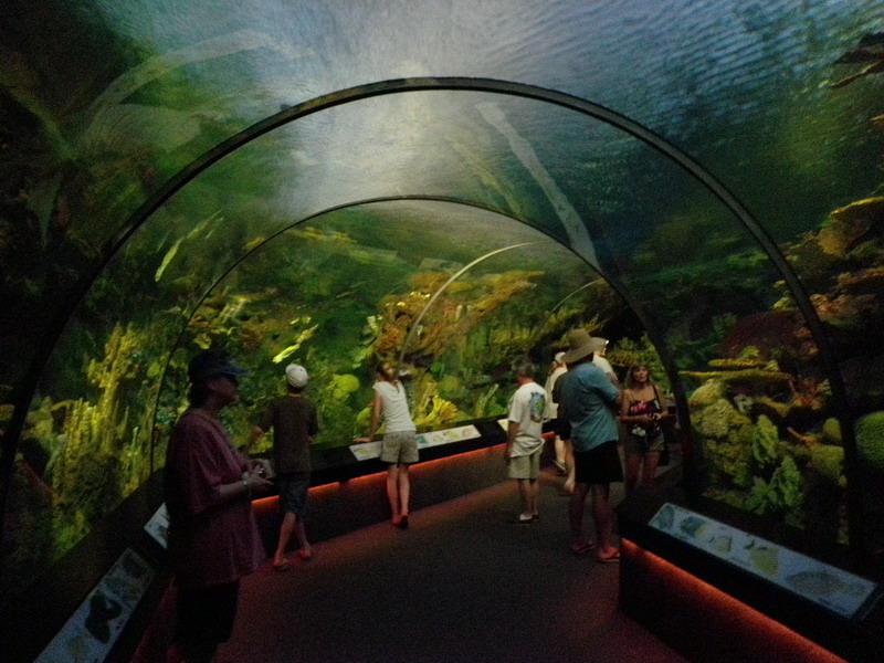 357P3122058.JPG