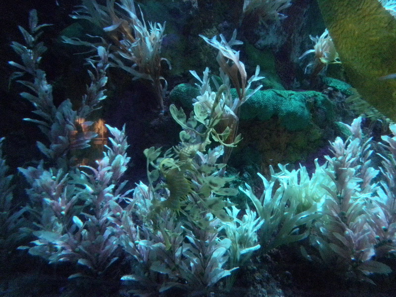358P3122063.JPG