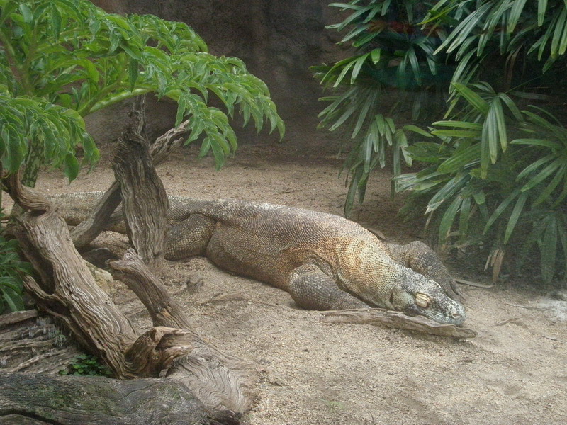 410P7067802.JPG