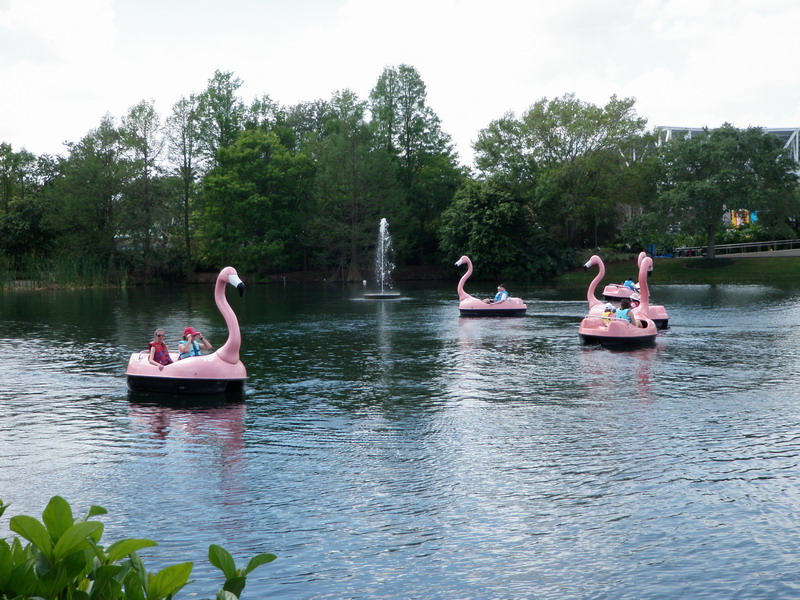 411P3143191.JPG
