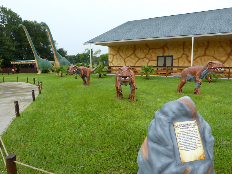 41P1040250.JPG