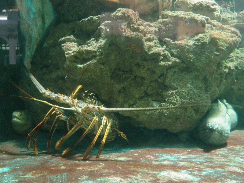 42P4229832.jpg