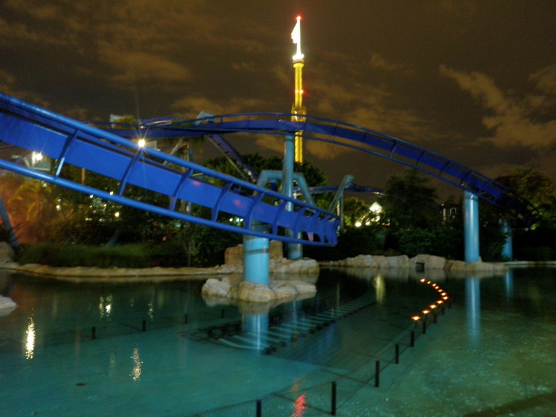 42P6306955.JPG