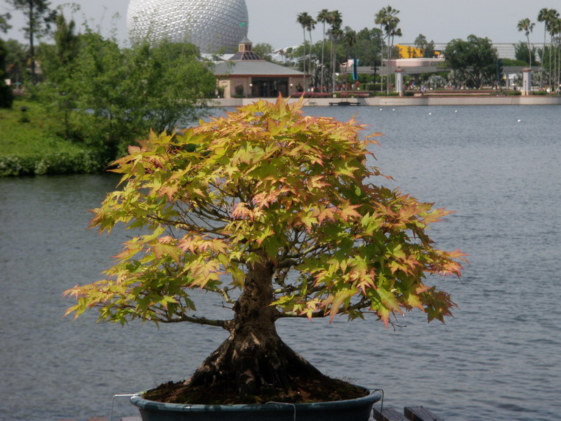 43P4241891.jpg