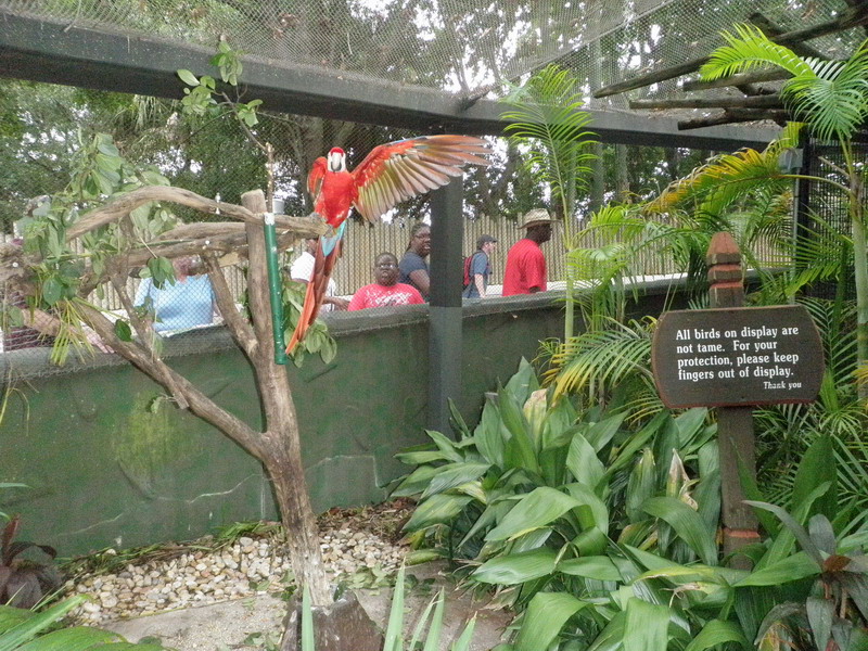 440P7067810.JPG