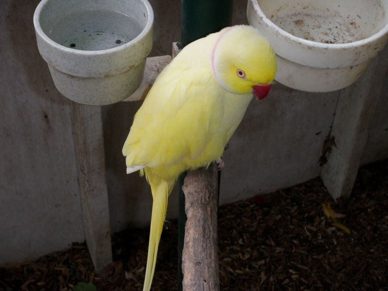44P5145357.JPG