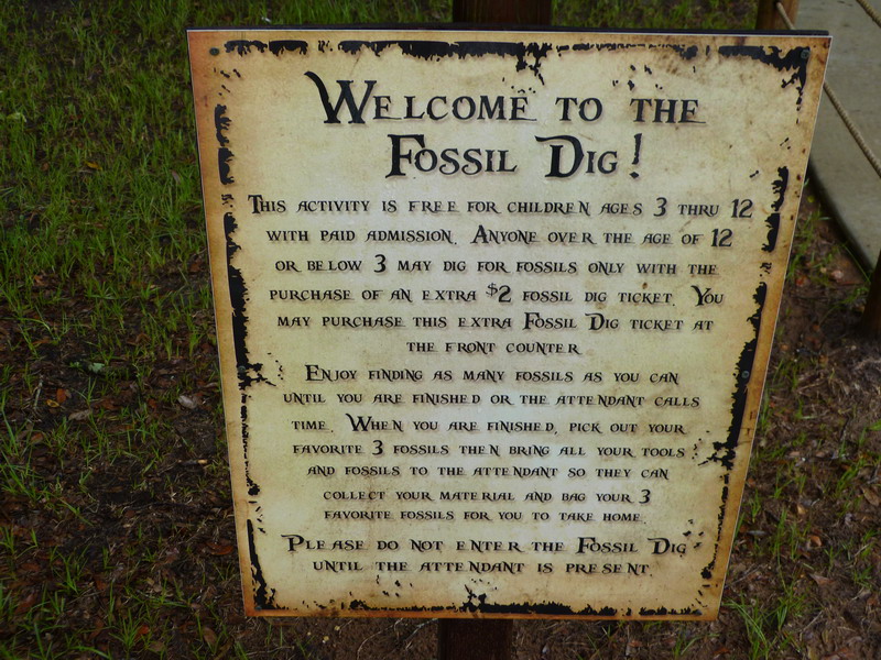 45P1040222.JPG