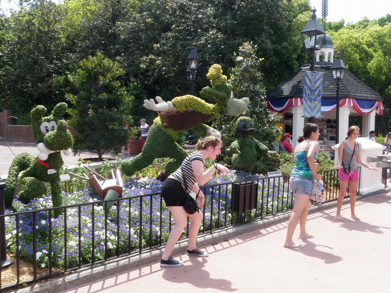 45P4241885.jpg