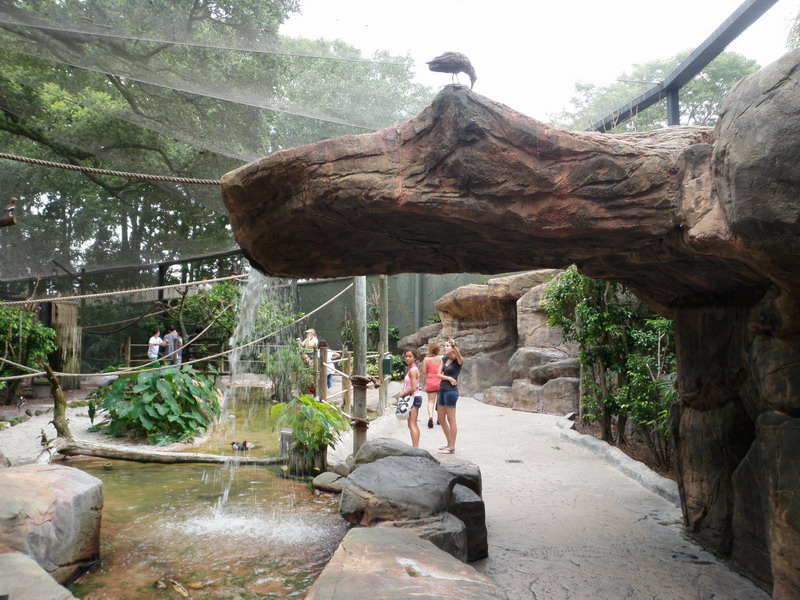 460P7067825.JPG