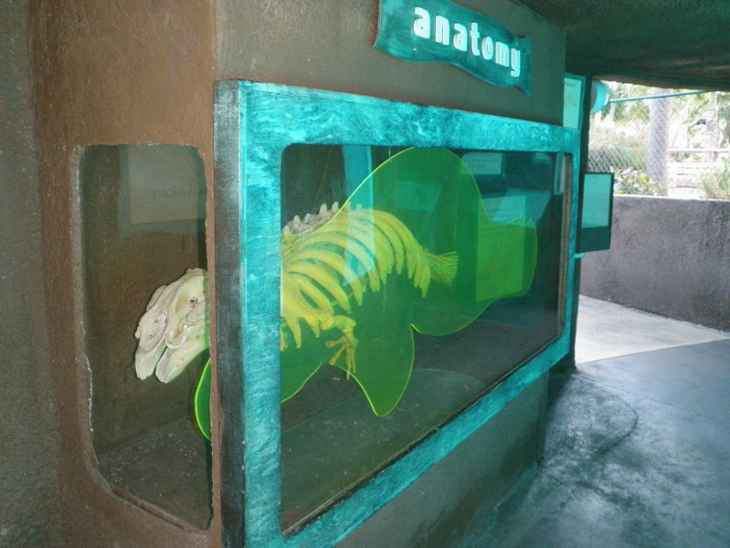 46P2185648.jpg