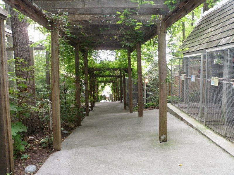 46P5145386.JPG