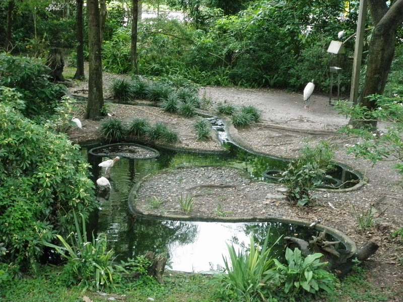 475P7067840.JPG