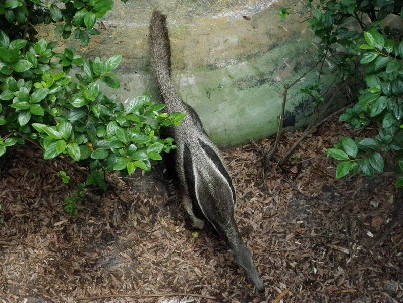 480P5053329.jpg
