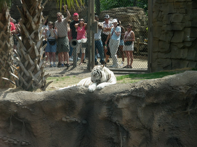 48P3132630.JPG
