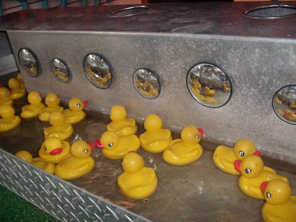 51 Find the ducky.JPG