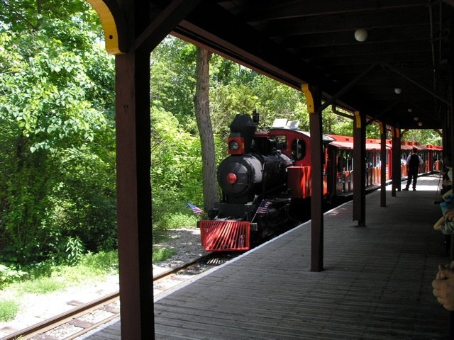 51_train.jpg