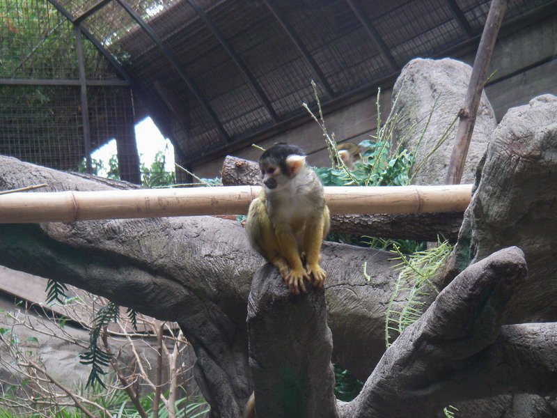 52IMGP4034.JPG