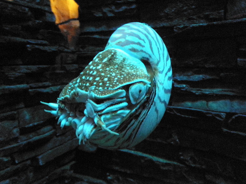 55P4191553.JPG